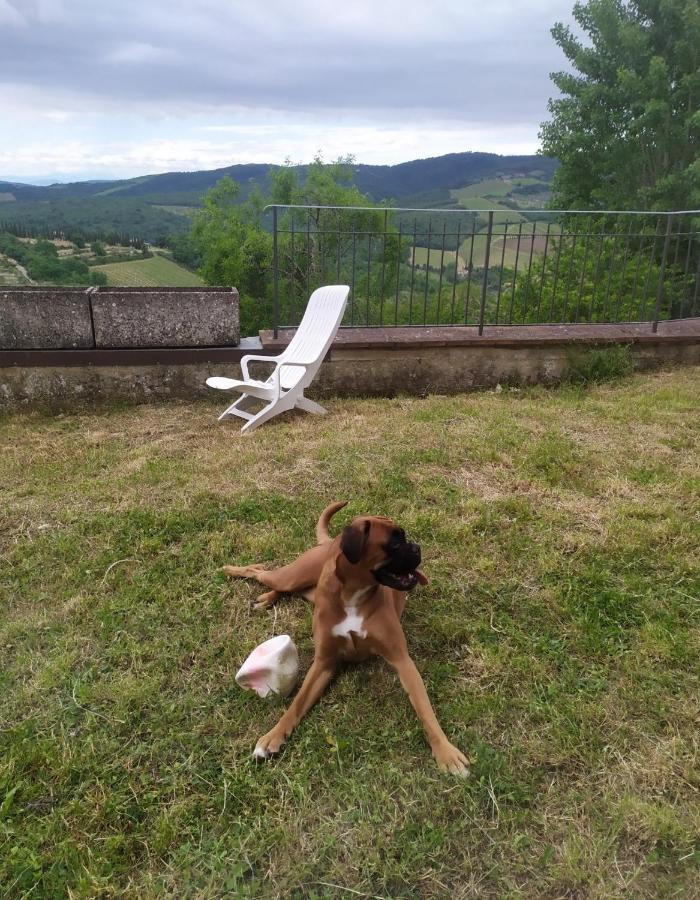 Camere E Appartamenti Baldini Romanita Radda in Chianti Exterior foto