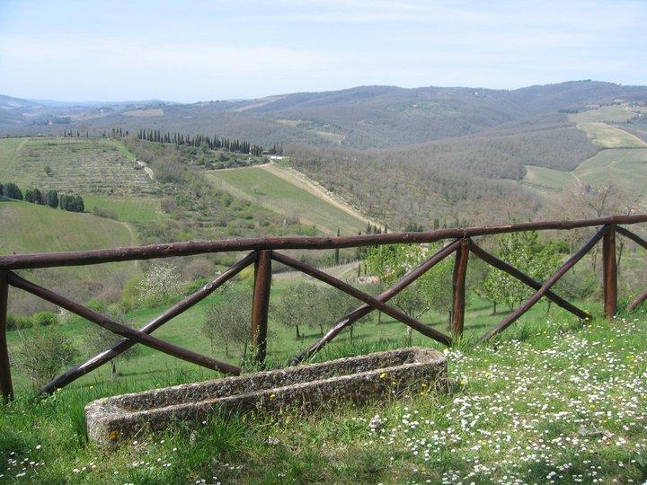 Camere E Appartamenti Baldini Romanita Radda in Chianti Exterior foto