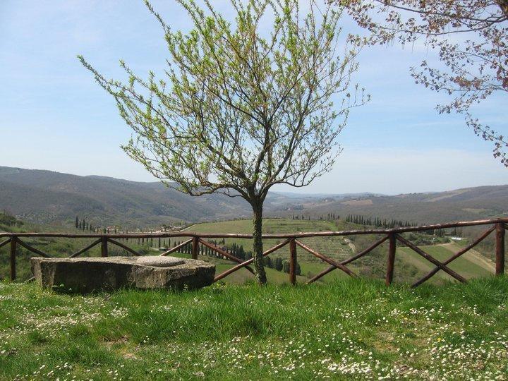 Camere E Appartamenti Baldini Romanita Radda in Chianti Quarto foto