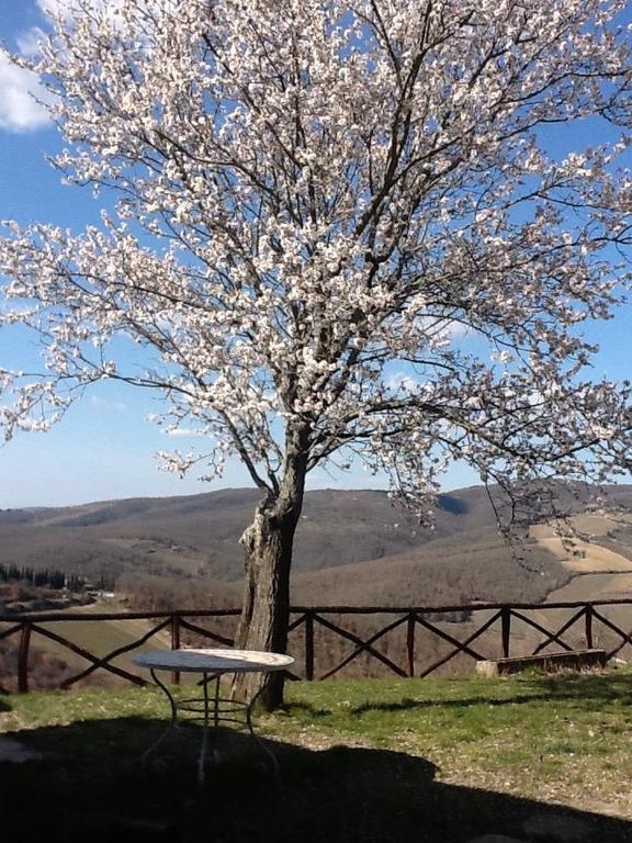 Camere E Appartamenti Baldini Romanita Radda in Chianti Exterior foto