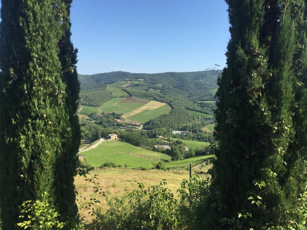 Camere E Appartamenti Baldini Romanita Radda in Chianti Exterior foto