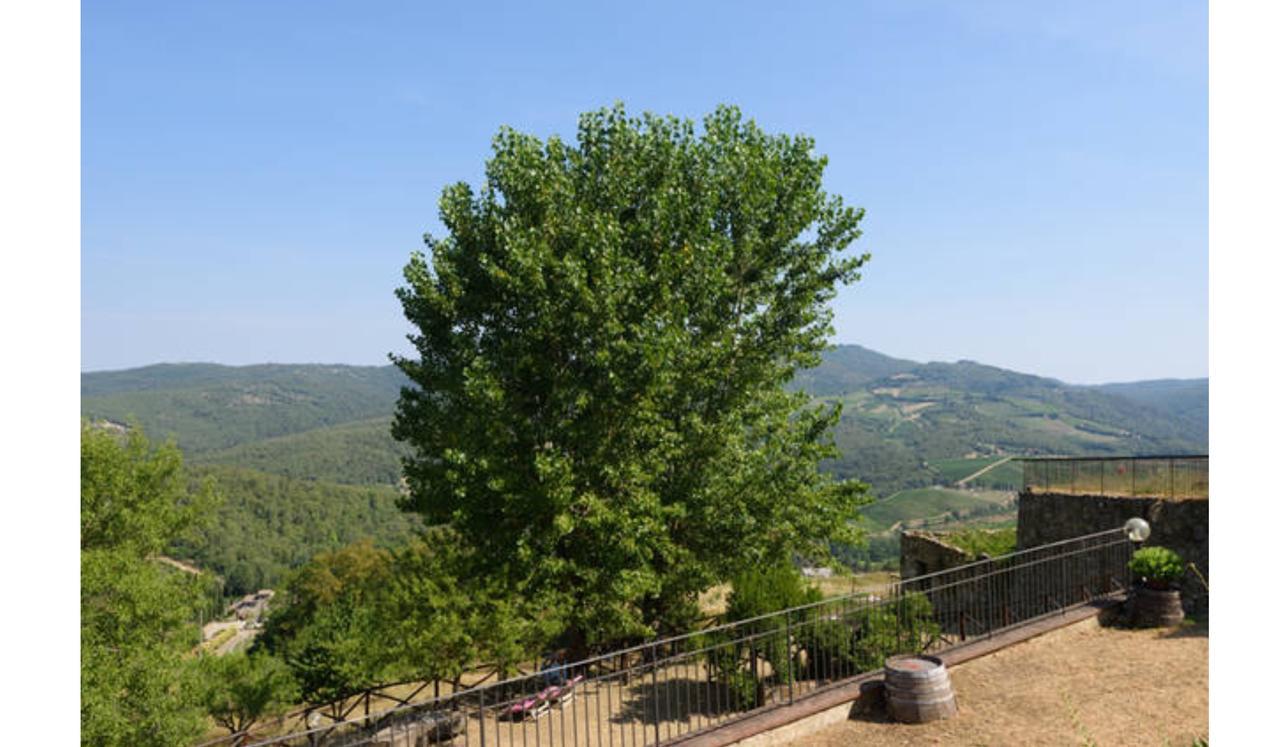 Camere E Appartamenti Baldini Romanita Radda in Chianti Exterior foto