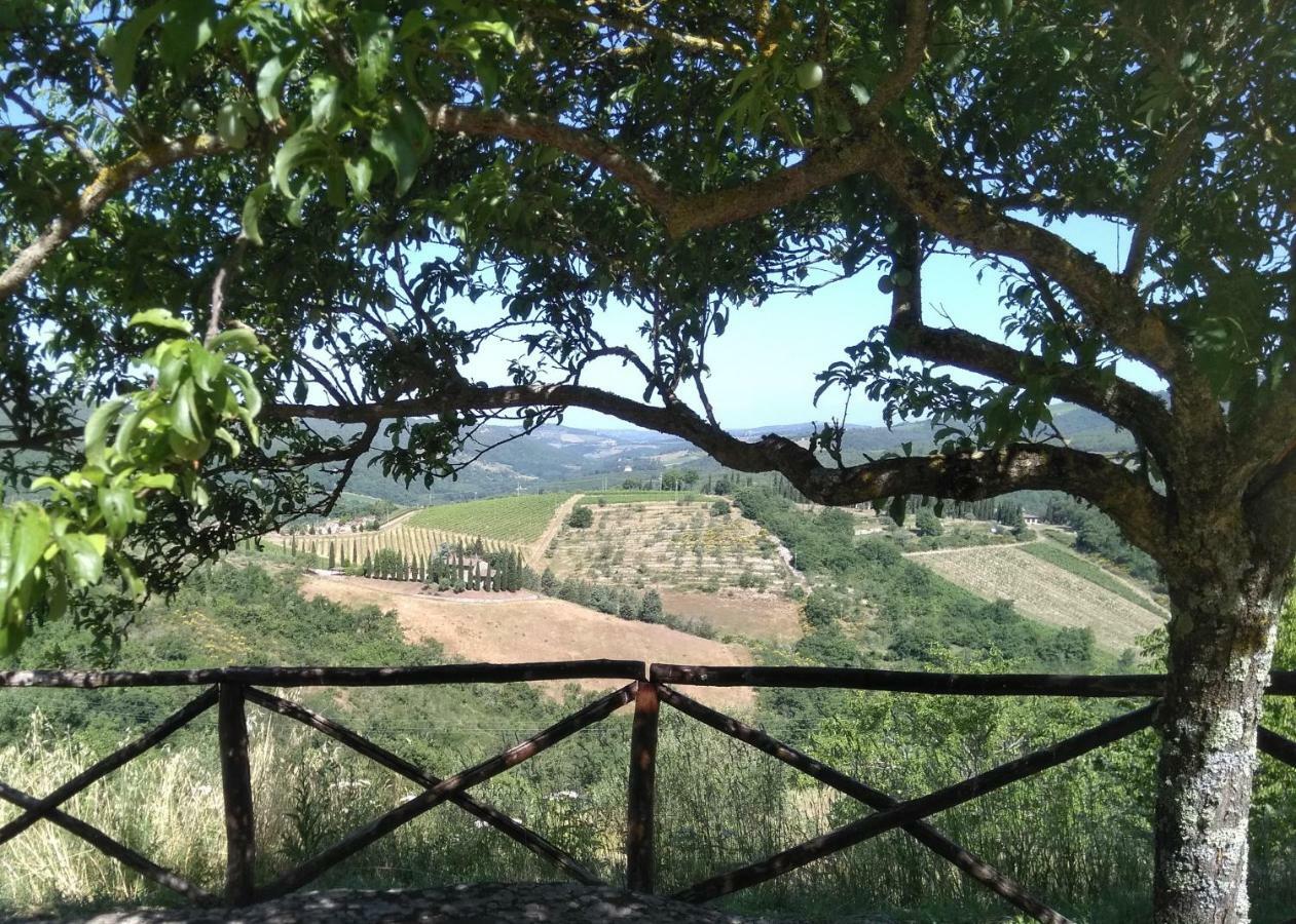 Camere E Appartamenti Baldini Romanita Radda in Chianti Exterior foto