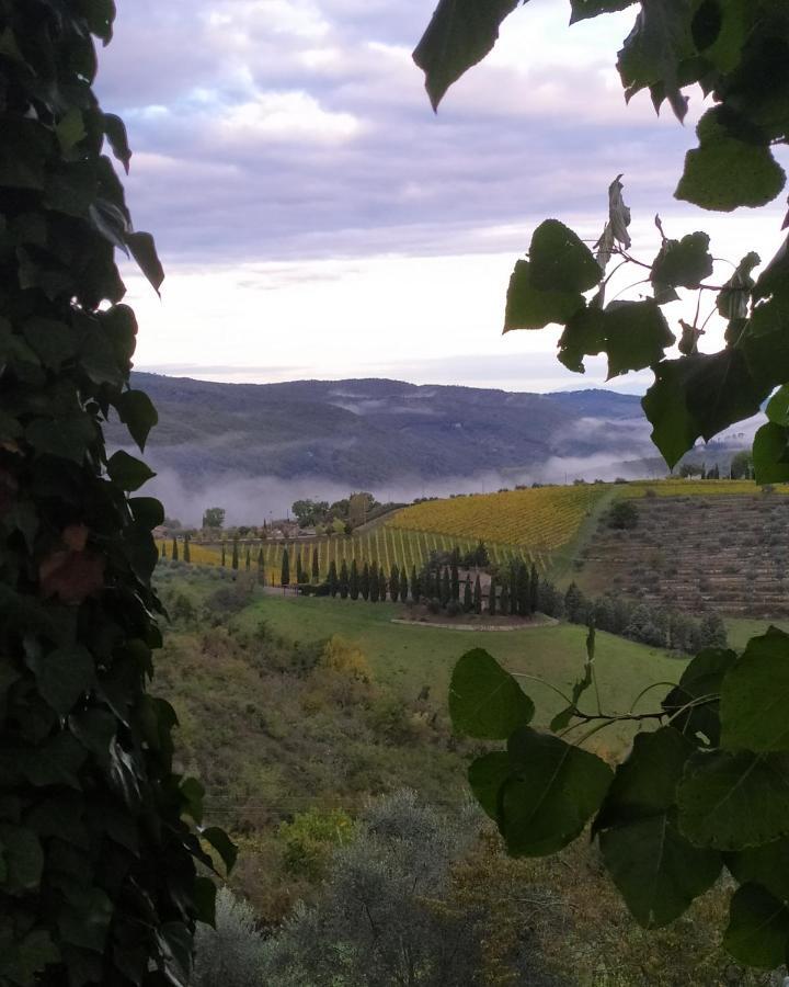 Camere E Appartamenti Baldini Romanita Radda in Chianti Exterior foto
